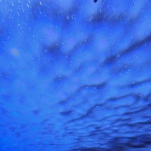 Meet your Posher, Florence